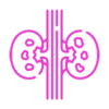 riñon riñon